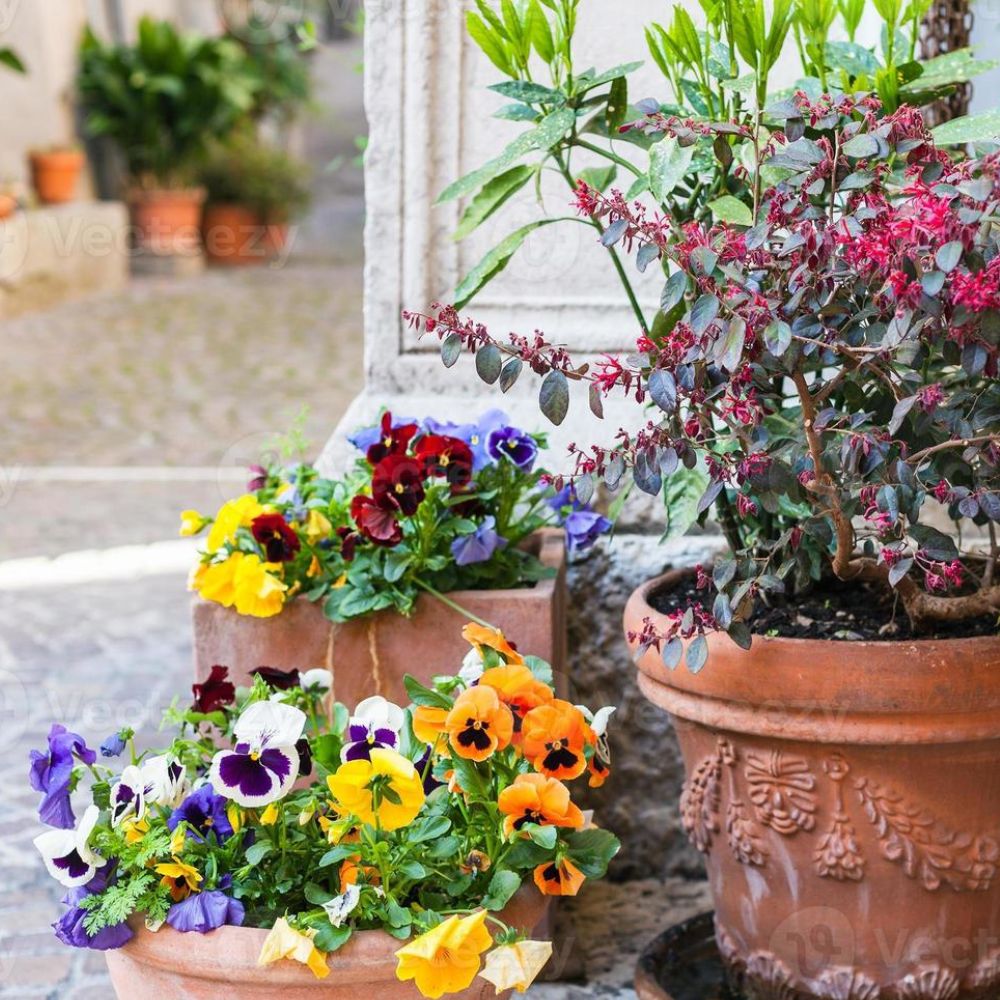 Como Preparar O Solo Para O Plantio De Flores Em Vasos E Floreiras: Dicas Essenciais